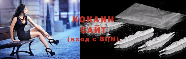 сатива Белокуриха