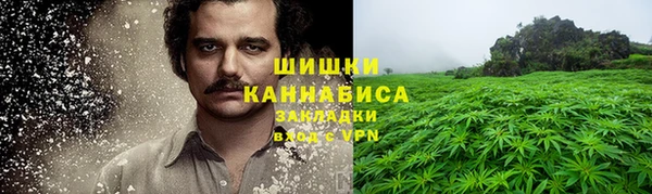 сатива Белокуриха